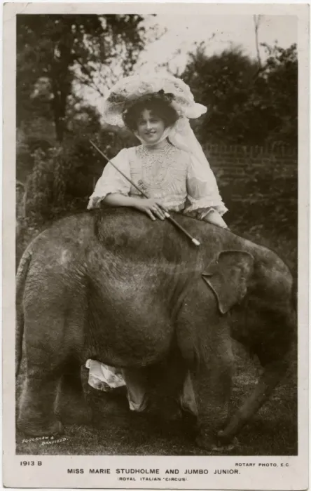 Framed Print : Miss Mary Studholme - British Actress and Jumbo Junior Framed Print : Miss Mary Studholme - British Actress and Jumbo Junior