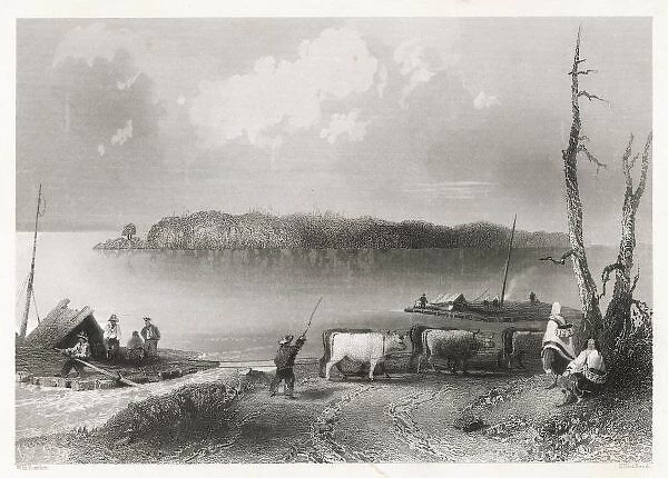 Mississippi Island. Six oxen haul a raft up the Mississippi, near Navy Island