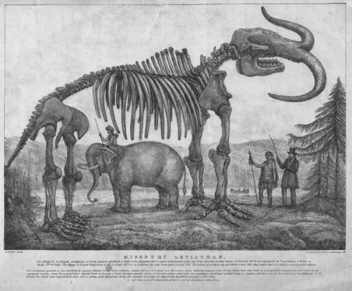Framed Print : Missouri Leviathan Framed Print : Missouri Leviathan