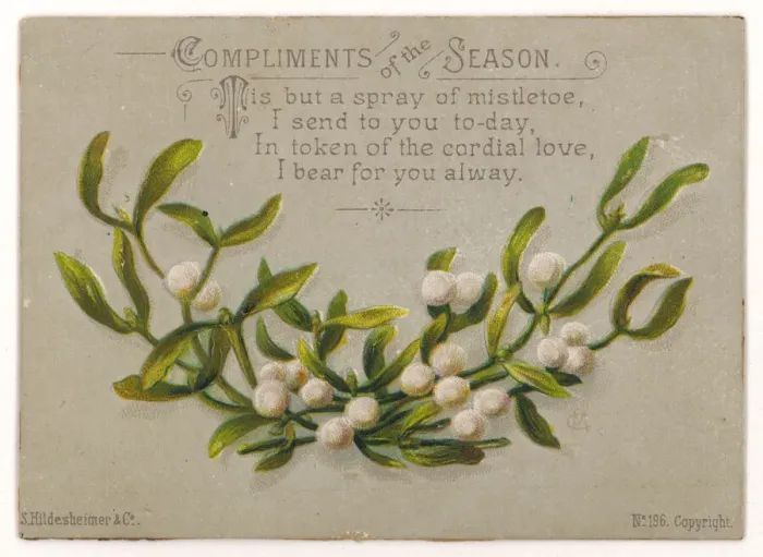 Framed Print : MISTLETOE / CARD / COMPLIMEN Framed Print : MISTLETOE / CARD / COMPLIMEN