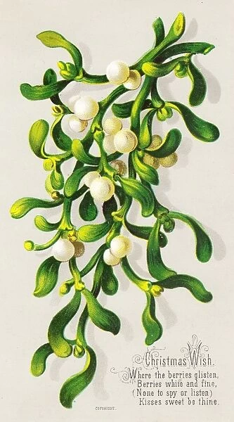 Mistletoe on a Christmas card