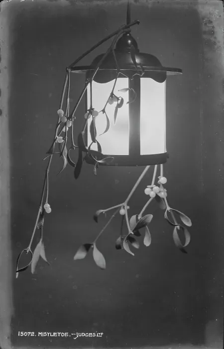 Framed Print : Mistletoe Lantern Framed Print : Mistletoe Lantern