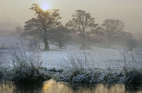A misty frosty morning along the River Penk in Staffordshire