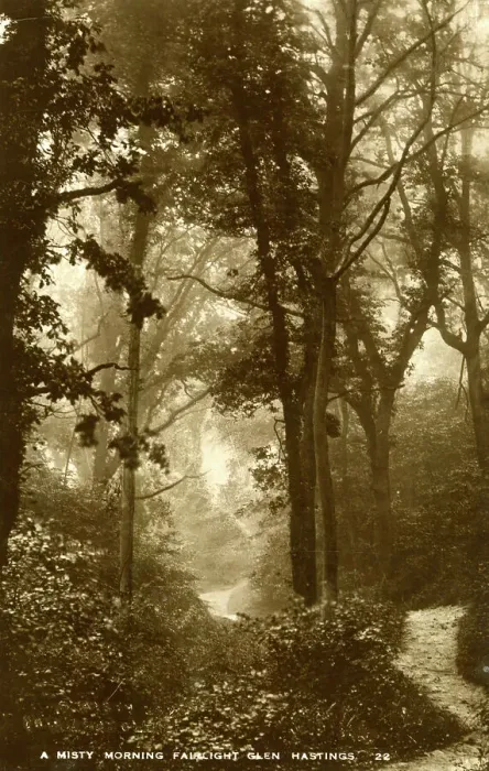 Framed Print : A Misty Morning, Fairlight Glen, Hastings, Sussex Framed Print : A Misty Morning, Fairlight Glen, Hastings, Sussex
