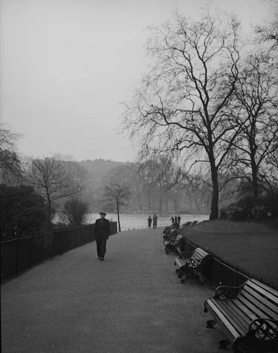 Framed Print : Misty morning, St Jamess Park, London Framed Print : Misty morning, St Jamess Park, London