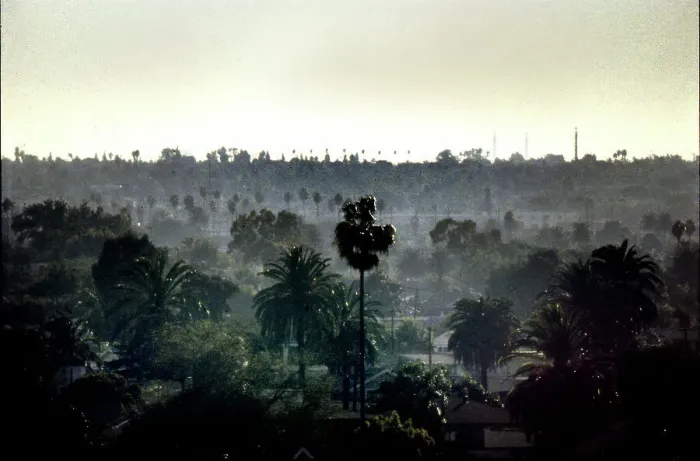Framed Print : Misty urban landscape, Los Angeles, USA Framed Print : Misty urban landscape, Los Angeles, USA