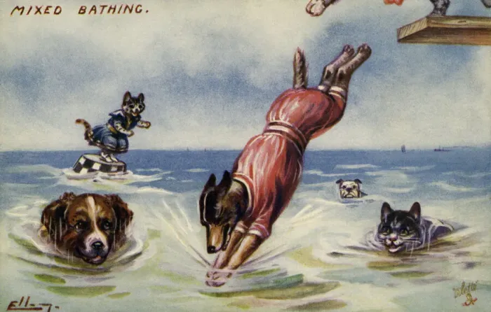 Framed Print : Mixed bathing Framed Print : Mixed bathing