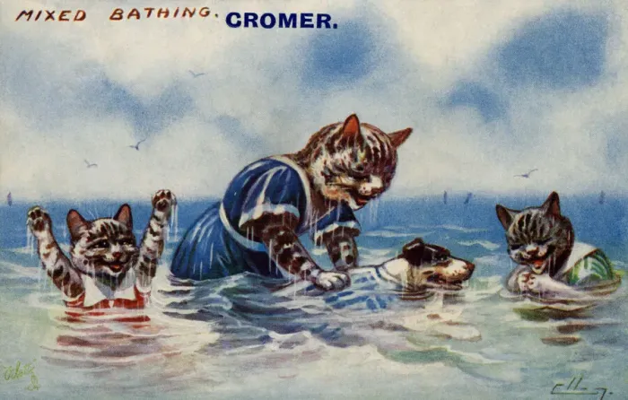 Framed Print : Mixed bathing Framed Print : Mixed bathing