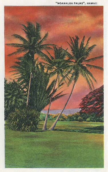Moanalua Palms, near Honolulu, Hawaii, USA
