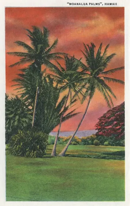 Framed Print : Moanalua Palms, near Honolulu, Hawaii, USA Framed Print : Moanalua Palms, near Honolulu, Hawaii, USA