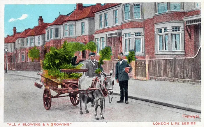 Framed Print : A mobile Plant Seller - London LIfe Series Framed Print : A mobile Plant Seller - London LIfe Series