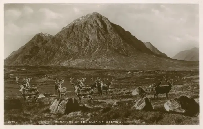 Framed Print : Monarchs of the Glen of Weeping, Scotland Framed Print : Monarchs of the Glen of Weeping, Scotland