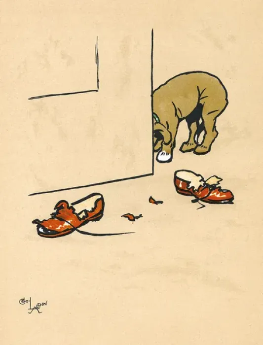 Framed Print : Mongrel puppy ruins a pair of his masters shoes Framed Print : Mongrel puppy ruins a pair of his masters shoes