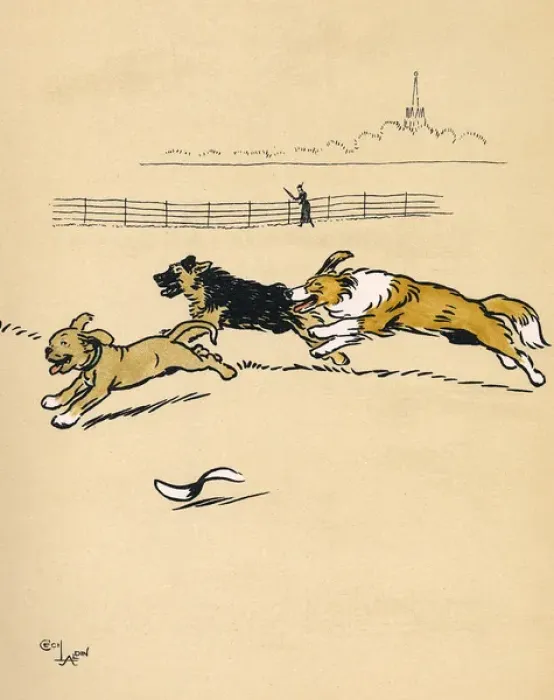 Framed Print : Mongrel puppy running with two dogs in the park Framed Print : Mongrel puppy running with two dogs in the park