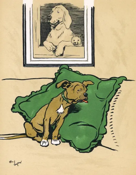 Framed Print : Mongrel puppy in a state of shock Framed Print : Mongrel puppy in a state of shock