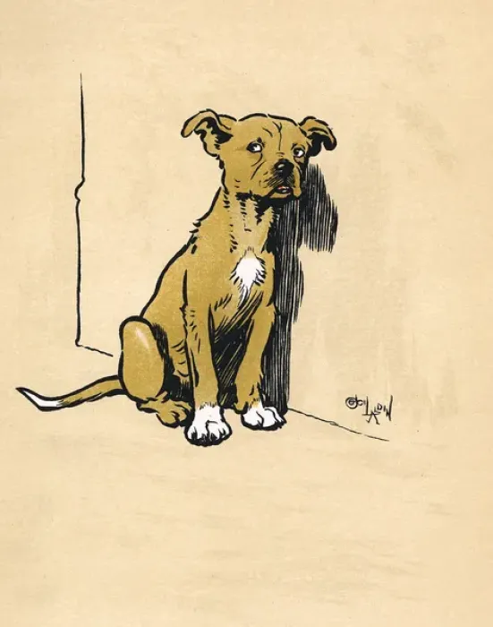 Framed Print : Mongrel puppy unhappy after a beating Framed Print : Mongrel puppy unhappy after a beating