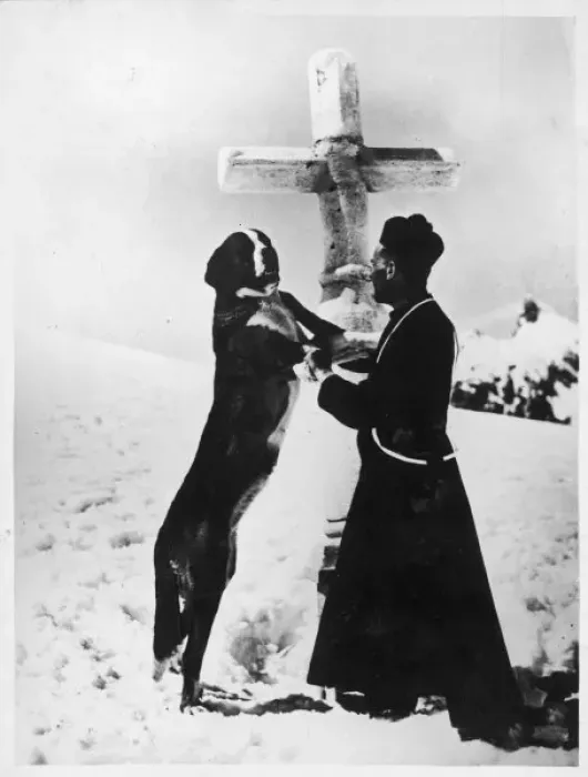 Framed Print : Monk with St. Bernard s Framed Print : Monk with St. Bernard s