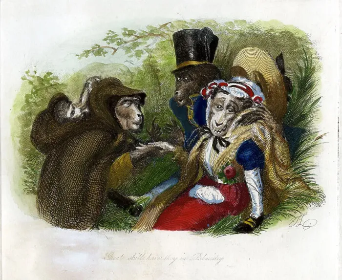 Framed Print : Monkey Cartoon Framed Print : Monkey Cartoon