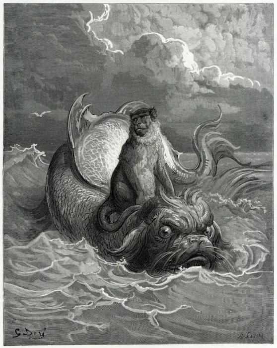 Framed Print : MONKEY AND DOLPHIN Framed Print : MONKEY AND DOLPHIN