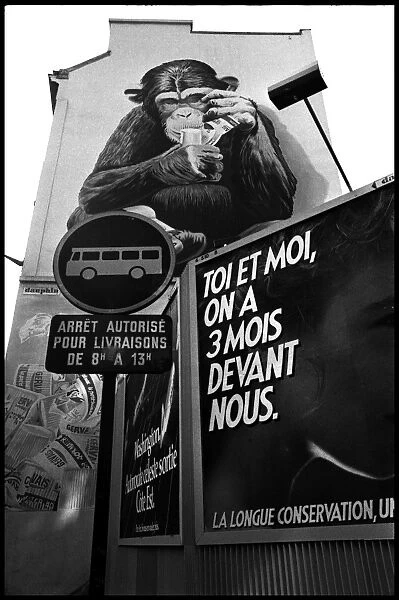 Monkey mural and street signs, Paris, France