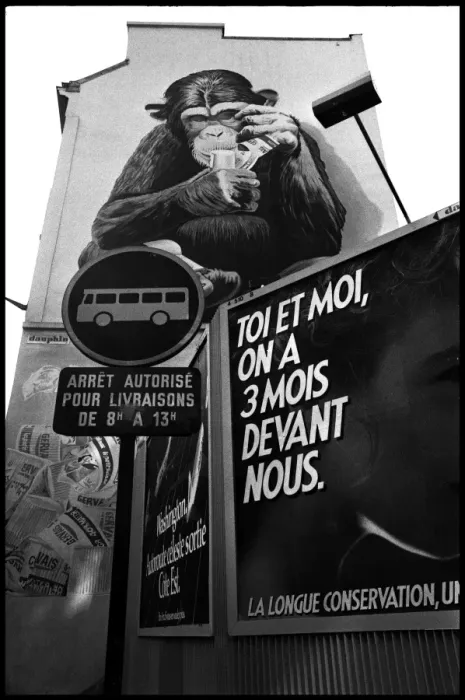 Framed Print : Monkey mural and street signs, Paris, France Framed Print : Monkey mural and street signs, Paris, France