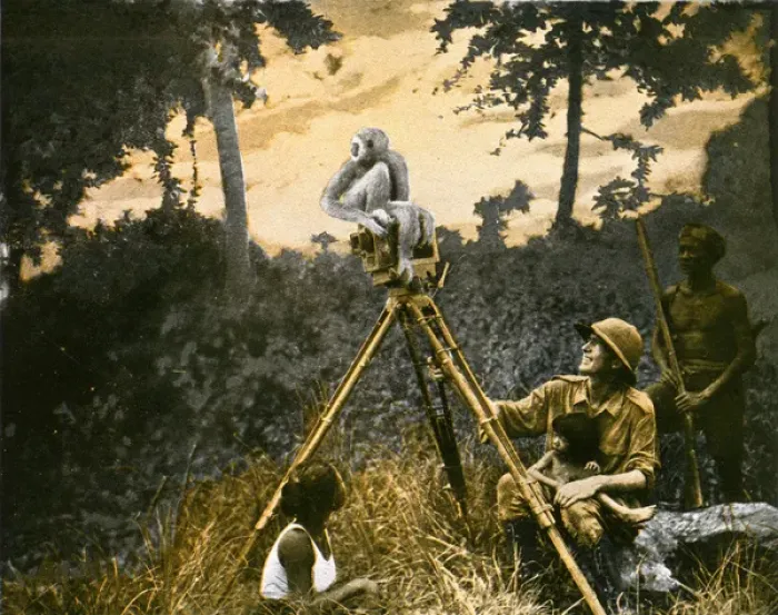 Framed Print : A monkey perches on a film-makers camera Framed Print : A monkey perches on a film-makers camera