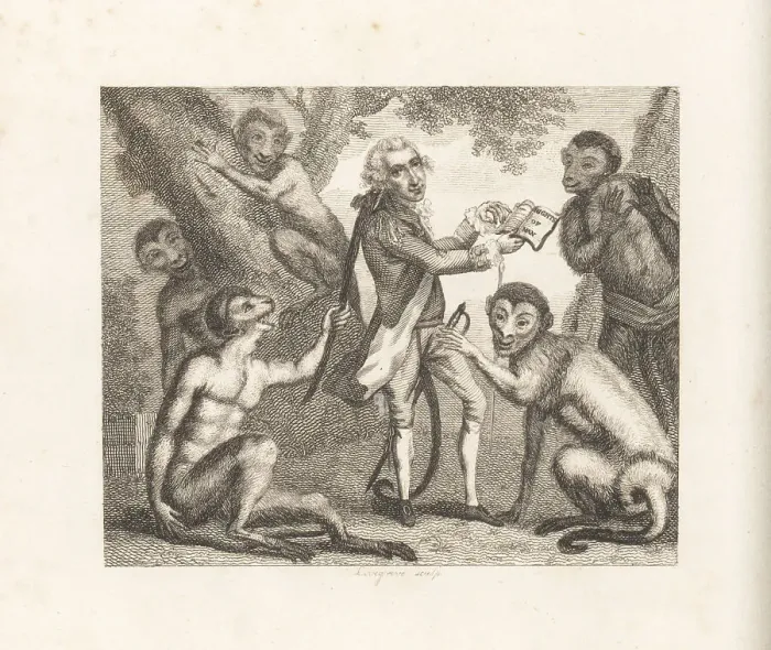Framed Print : The Monkey who had seen the World Framed Print : The Monkey who had seen the World