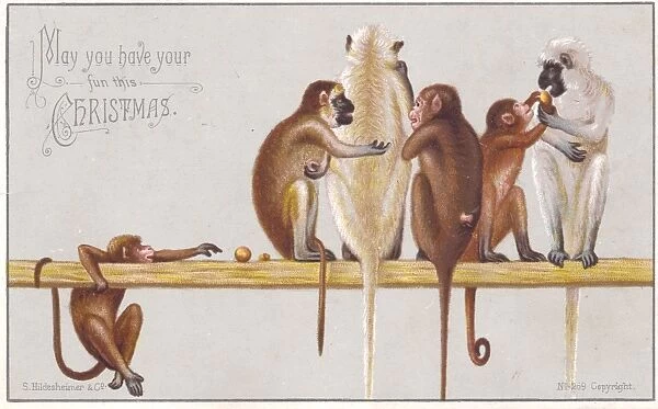 Six monkeys on a Christmas card