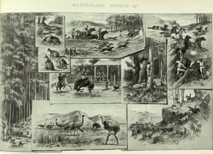 Framed Print : Montage depicting various Australian sports Framed Print : Montage depicting various Australian sports