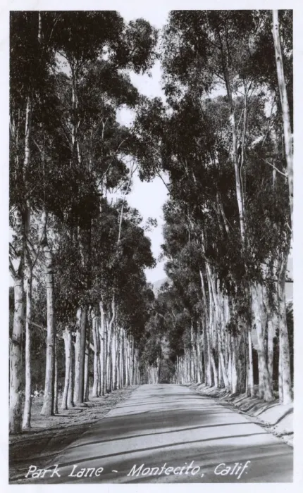 Framed Print : Montecito, Santa Barbara County, California, USA Framed Print : Montecito, Santa Barbara County, California, USA