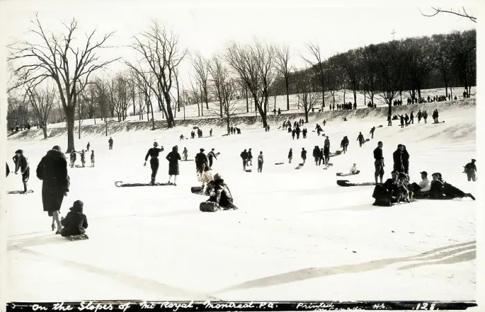 Framed Print : Montreal, Quebec, Canada - Sledging on Mt. Royal Framed Print : Montreal, Quebec, Canada - Sledging on Mt. Royal