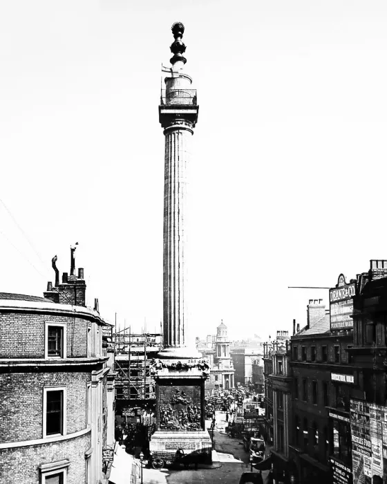 Framed Print : The Monument, London Framed Print : The Monument, London