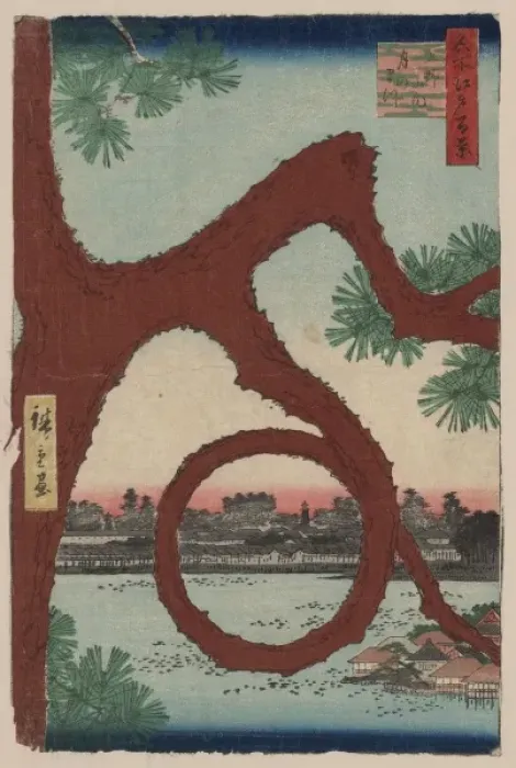 Framed Print : Moon pine, Ueno Framed Print : Moon pine, Ueno