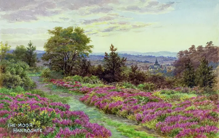 Framed Print : The Moor, Harrogate, North Yorkshire Framed Print : The Moor, Harrogate, North Yorkshire