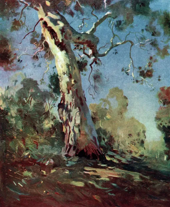 Framed Print : Morning. A landscape oil painting showing a large tree in a woodland clearing Framed Print : Morning. A landscape oil painting showing a large tree in a woodland clearing