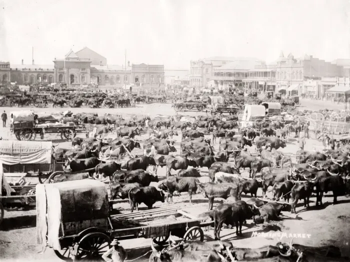 Framed Print : Morning market, Johannesburg, South Africa, c. 1900 Framed Print : Morning market, Johannesburg, South Africa, c. 1900