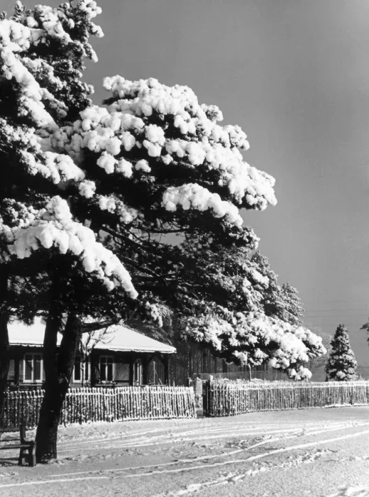 Framed Print : Morning sunshine after the a heavy snowfall, showing the trees still laden with snow Framed Print : Morning sunshine after the a heavy snowfall, showing the trees still laden with snow