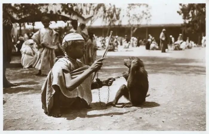 Framed Print : Moroccan boy (trainer) with monkey Framed Print : Moroccan boy (trainer) with monkey