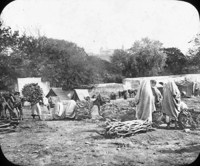 Framed Print : Morocco, North Africa - Women selling Firewood Framed Print : Morocco, North Africa - Women selling Firewood