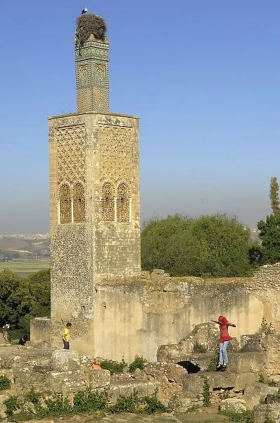 MOROCCO. Rabat. Chellah Necropolis. Minaret in
