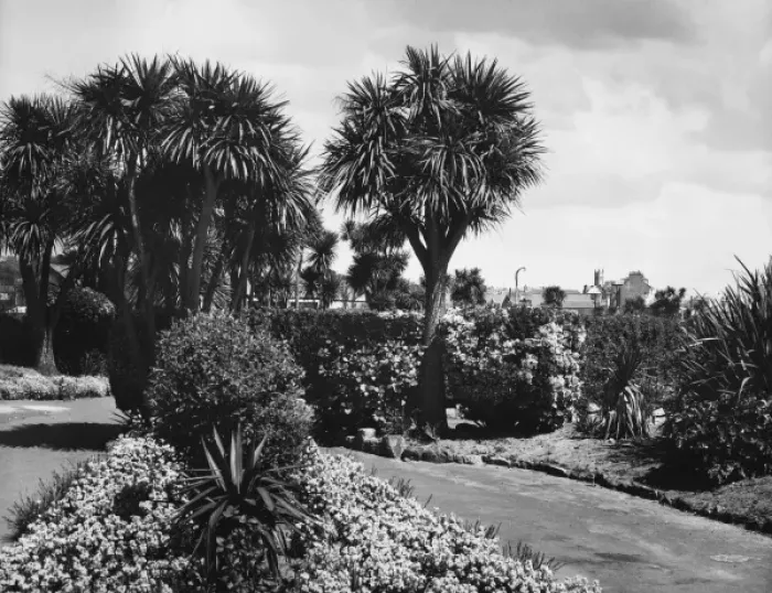 Framed Print : Morrab Gardens Framed Print : Morrab Gardens