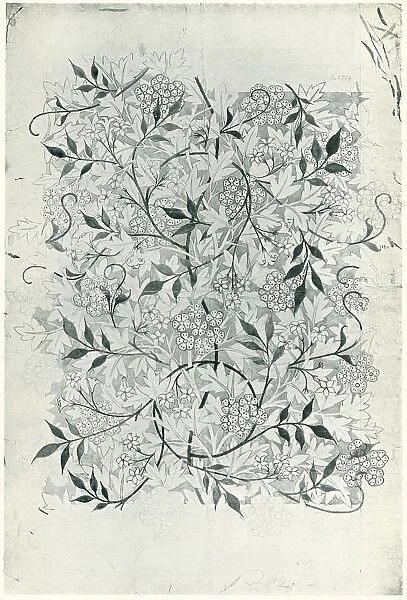 Morris Jasmine Wallpaper