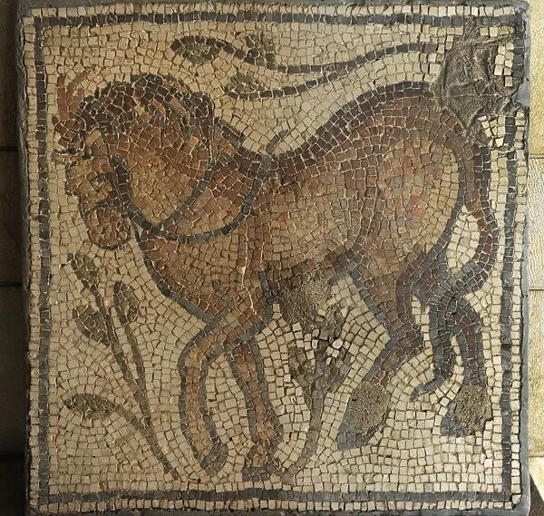 Mosaic. Beit Guvrin. Byzantine period, 4th century CE. Horse