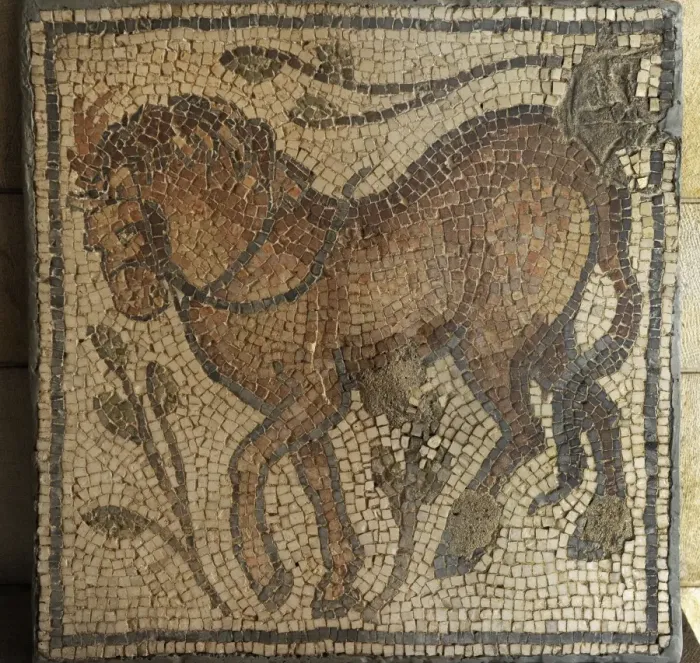 Framed Print : Mosaic. Beit Guvrin. Byzantine period, 4th century CE. Horse Framed Print : Mosaic. Beit Guvrin. Byzantine period, 4th century CE. Horse