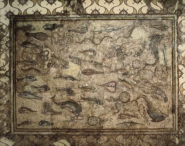 Mosaic of the Fish of La Pineda