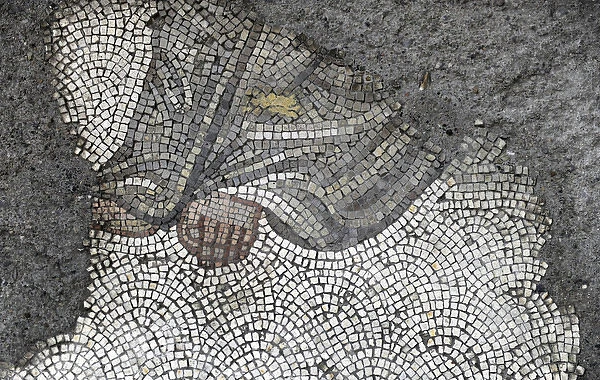Mosaic of the Great Palace Mosaic Museum. Istanbul