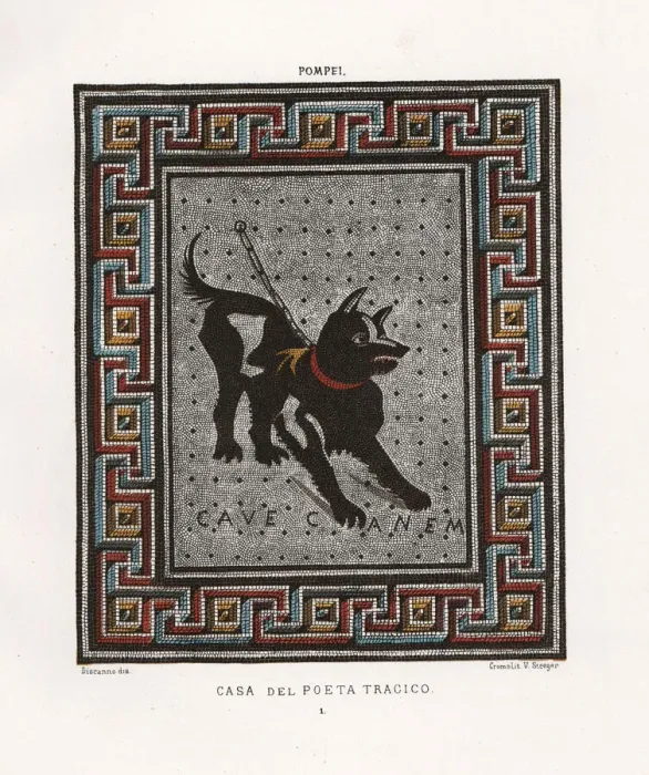 Framed Print : Mosaic of a guard dog on a chain from Framed Print : Mosaic of a guard dog on a chain from