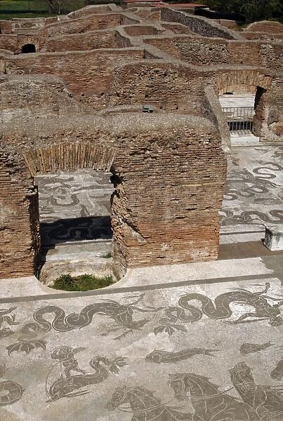 Mosaic of Neptunes Triumph at the Baths of Neptune. Ostia A