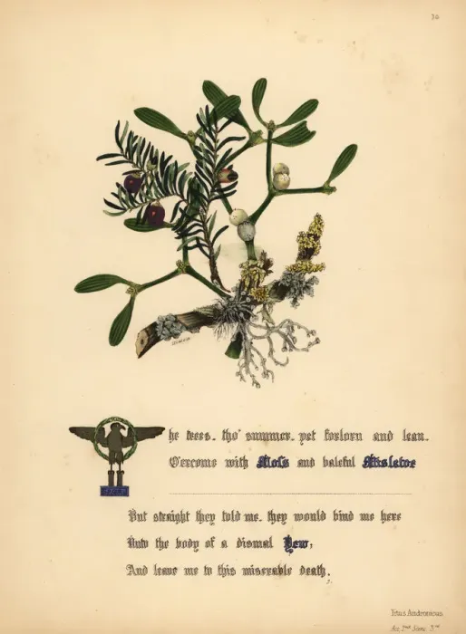 Framed Print : Moss, Mistletoe and Yew (Titus Andronicus) Framed Print : Moss, Mistletoe and Yew (Titus Andronicus)
