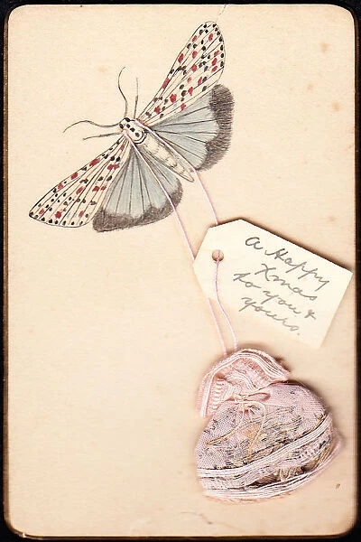 Moth on a handmade Christmas card